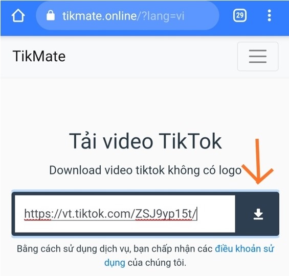 Download TikTok No Watermark 02
